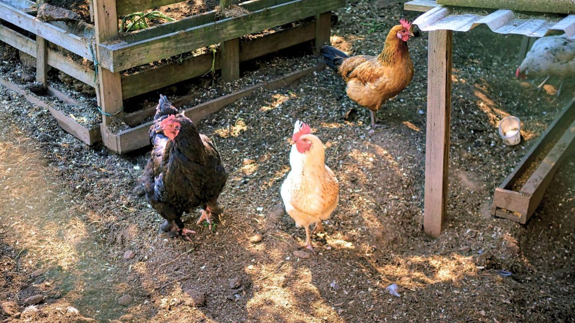 Ferienhaus Weps 아른브루크 외부 사진